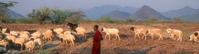 Turkana herdsman