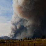 Calwood fire, Colorado