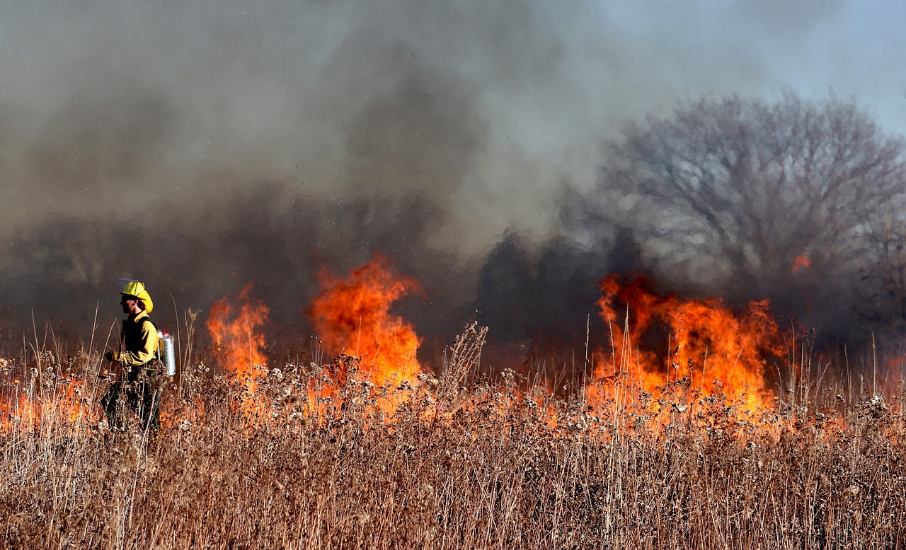 A firefighter stands against a fire in a grassy field.