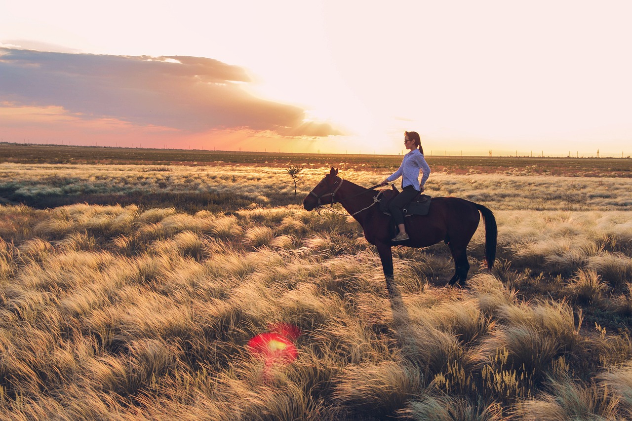 A woman pauses on her horseback ride to touch her back. She rides a brown horse in a field of golden grass.