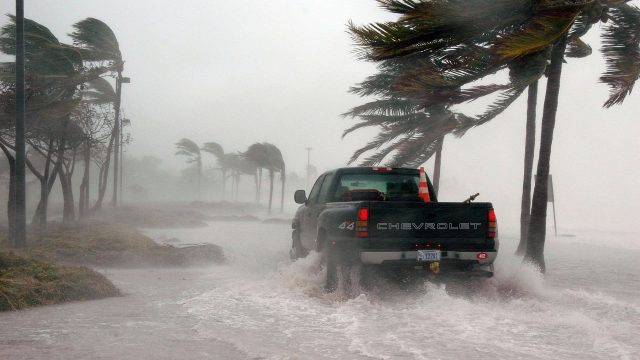 A blue truck with a safety cone in the truck bed drives across a flooded beach in the rain. Palm trees sway with the high winds.