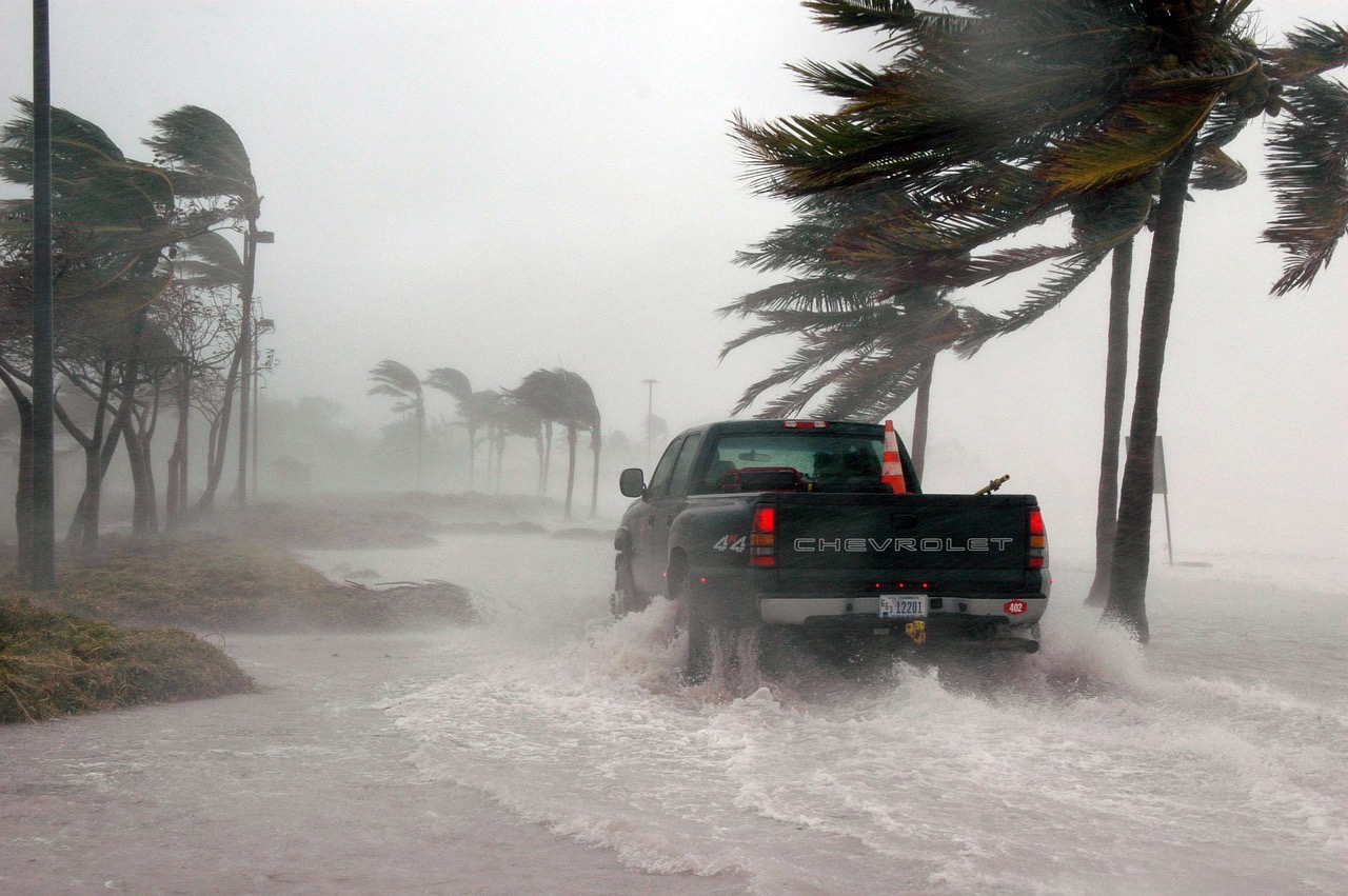 A blue truck with a safety cone in the truck bed drives across a flooded beach in the rain. Palm trees sway with the high winds.