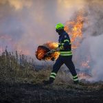 A firefighter works on a grassland fire.